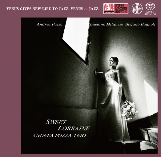 男人日女人逼视频
